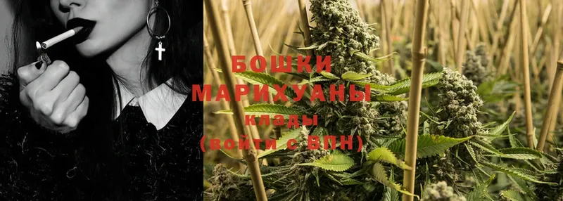 где можно купить наркотик  ссылка на мегу как войти  Каннабис White Widow  Райчихинск 